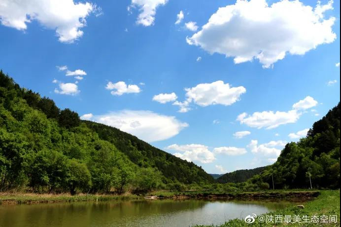 黃龍山國家森林公園位於陝北黃土高原東南部的黃龍縣境內,不僅賦有