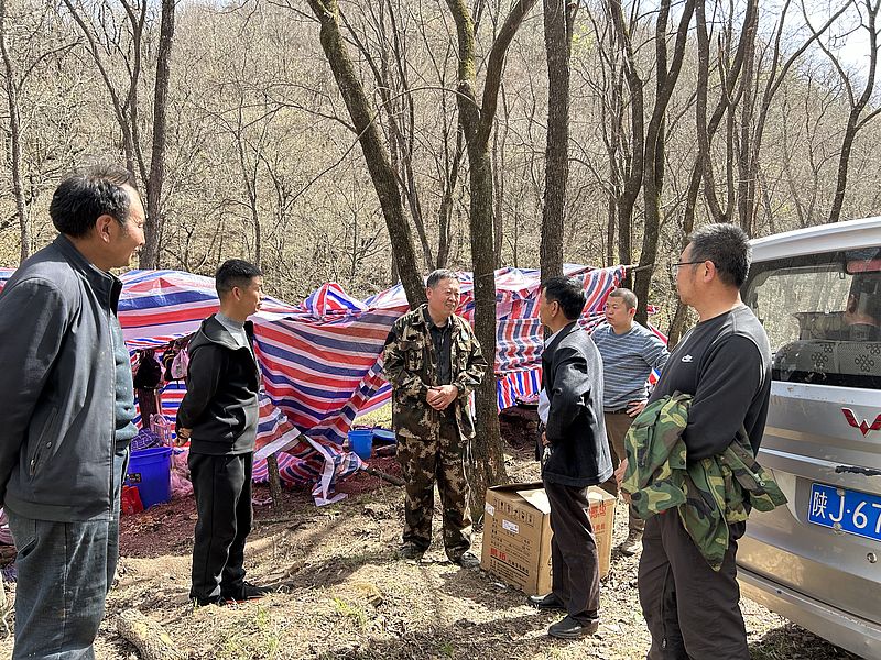 延安市橋山國有林管理局檢查指導建莊國有生態林場退化林修復項目工作