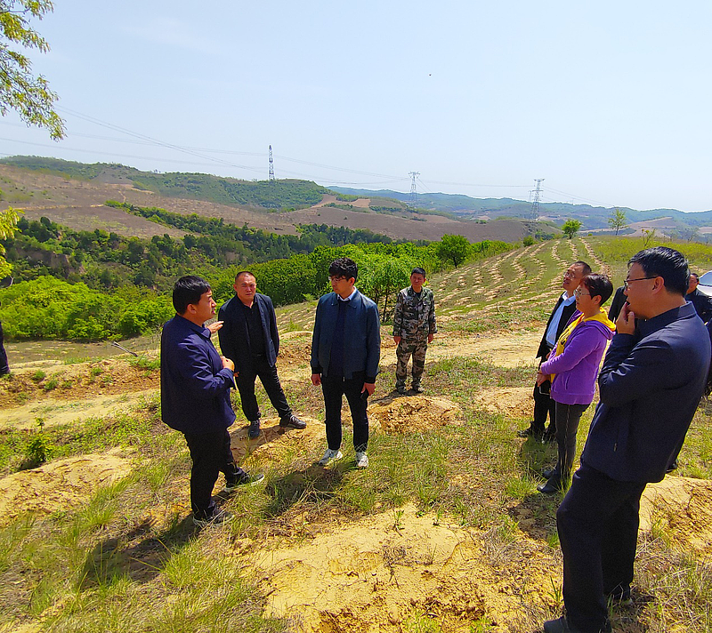 国家林业和草原局生态中心调研组 深入我市调研退耕还林还草典型模式及巩固成果相关工作 - 关注森林