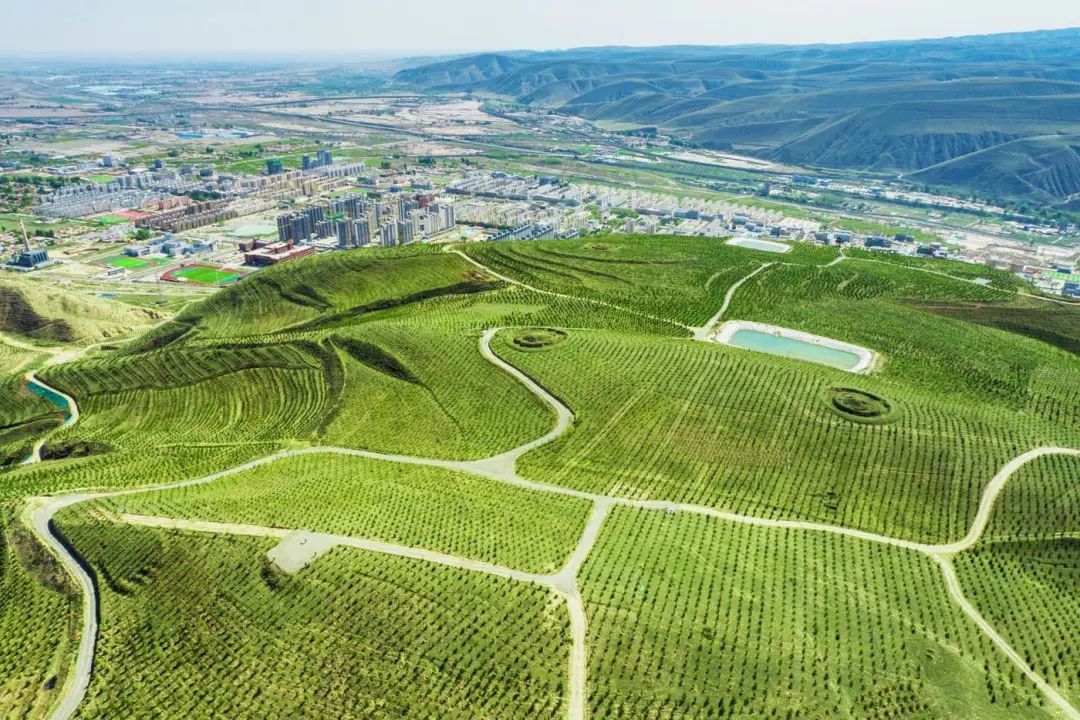 森林>地方林草动态>甘肃>正文夏日的古浪,天高气爽,站在古浪南部山区