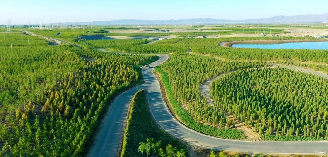 国有林场改革后第一次全省国有林场场长培训班在张掖举办 - 关注森林