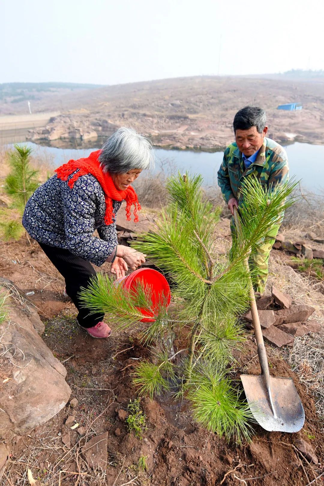 植树造林如何改变中国