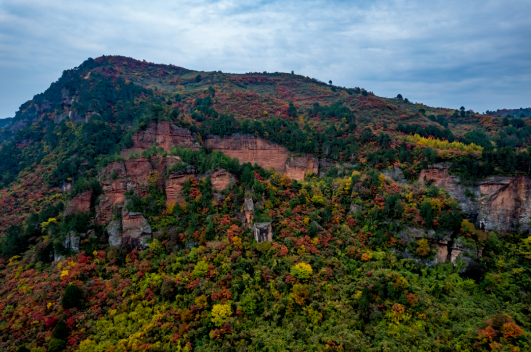 徽县柳林镇江峡遇见最美的你