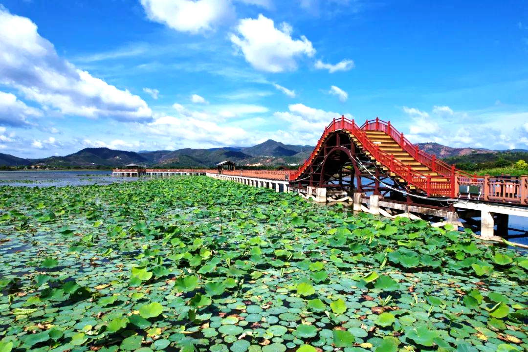 石屏异龙湖简介图片