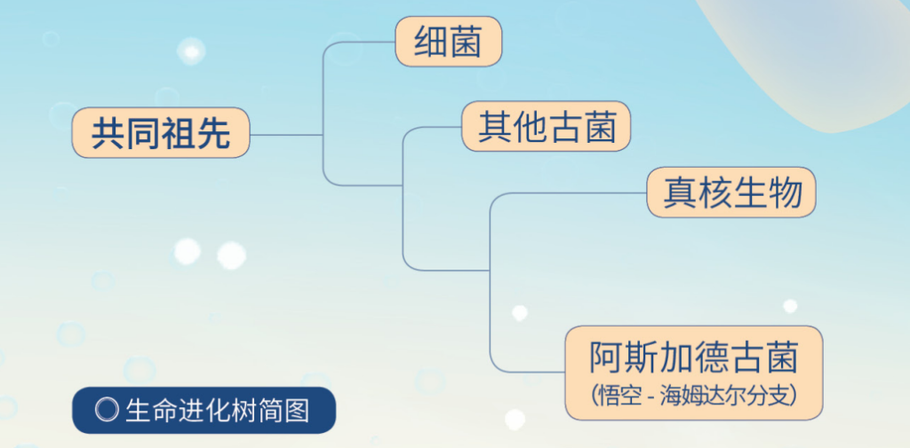 每日物种故事|海洋古菌：站在光外的英雄 - 关注森林