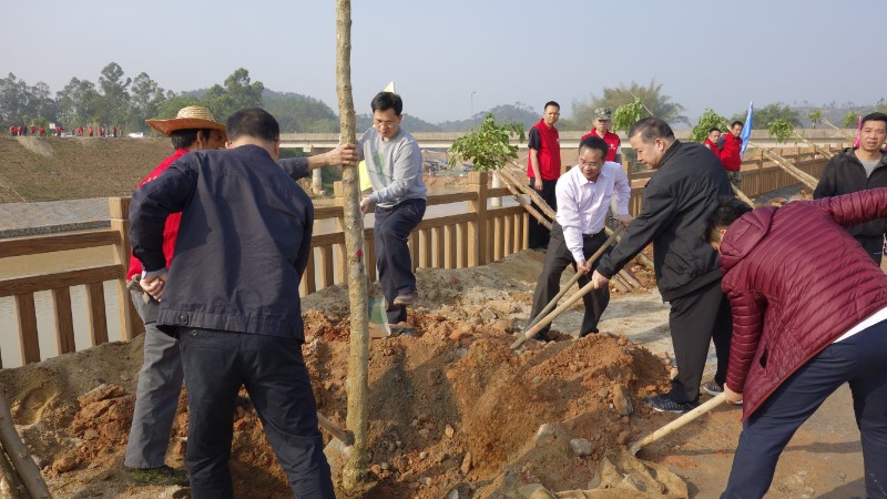 邓惠林,杨志宇等信宜市领导来到植树点,立刻投入到植树活动中,他们两