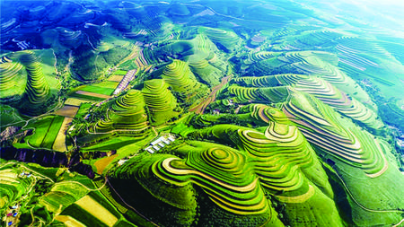 环县车道乡樱桃掌村昔日荒山治理绿化后效果图. 李芳义 摄