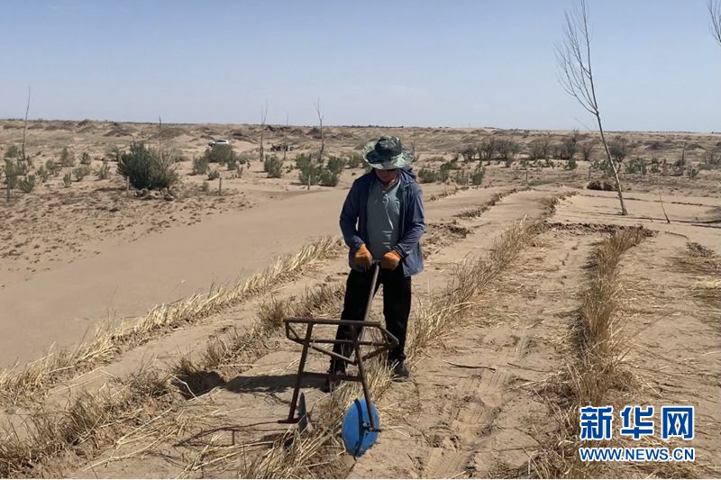 工作人员演示机械种植麦草方格.新华社记者 张玉洁 摄