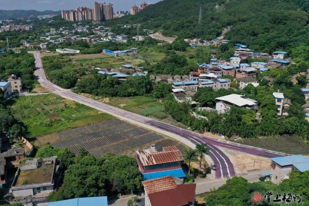 梅州创建国家森林城市三角镇在行动