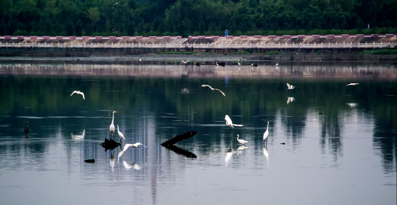 河南平桥两河口国家湿地公园专业号- 湿地保护