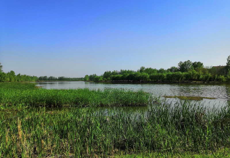 谷城汉江国家湿地公园入选《2020年国家重要湿地名录》