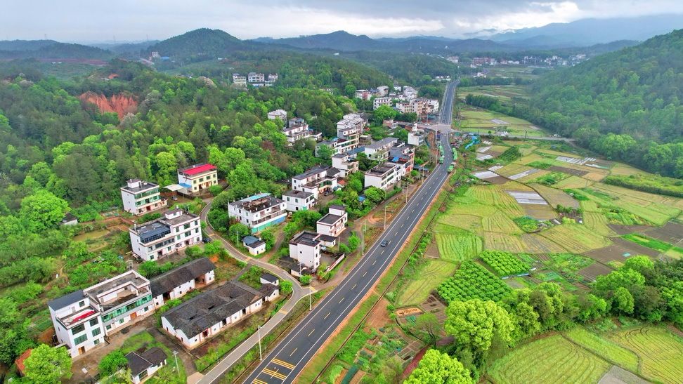 江西赣州春到山乡景如画