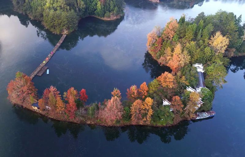 森林公园赣州阳明湖国家森林公园