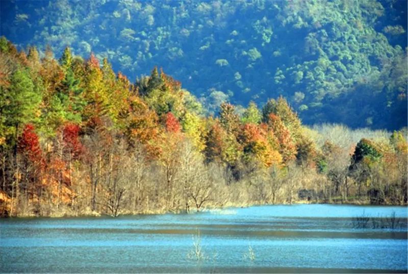 江西九连山风景区图片