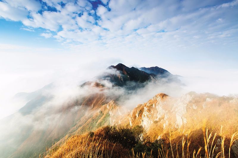 江西九连山风景区图片