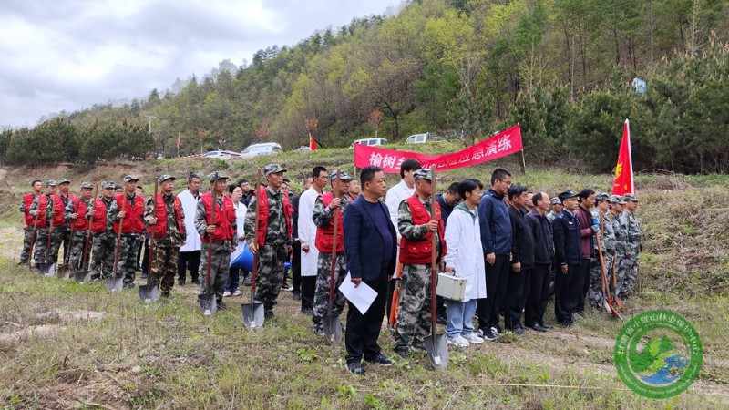 当前位置:关注森林>地方林草动态>甘肃>正文800_450