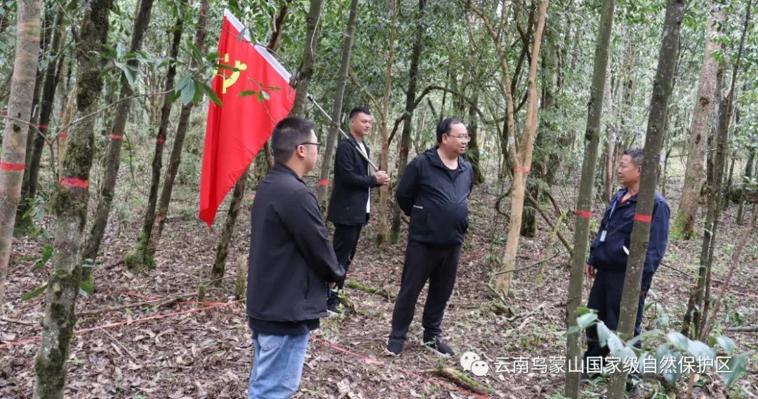 馬局長等一行9人對呼碳坪剛設置好的植被樣地進行實地考察,馬局長強調