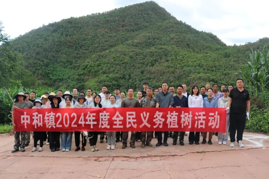 永仁县中和镇抓住雨季植树成活率高的有利时机