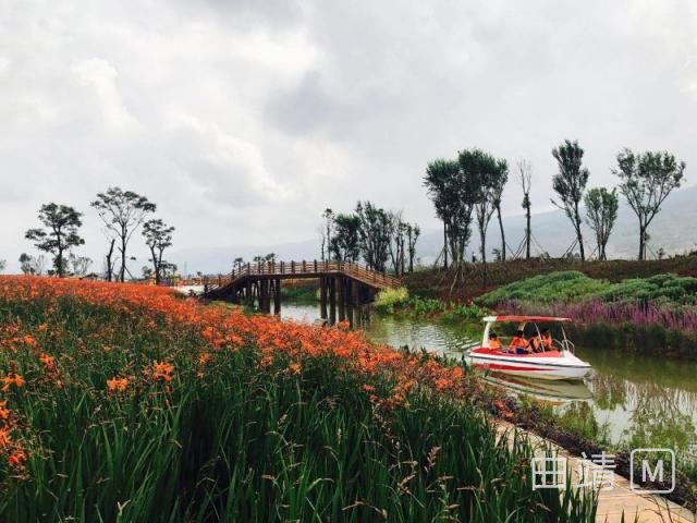 这边风景独好—从设计的眼光看麒麟水乡景观的生长