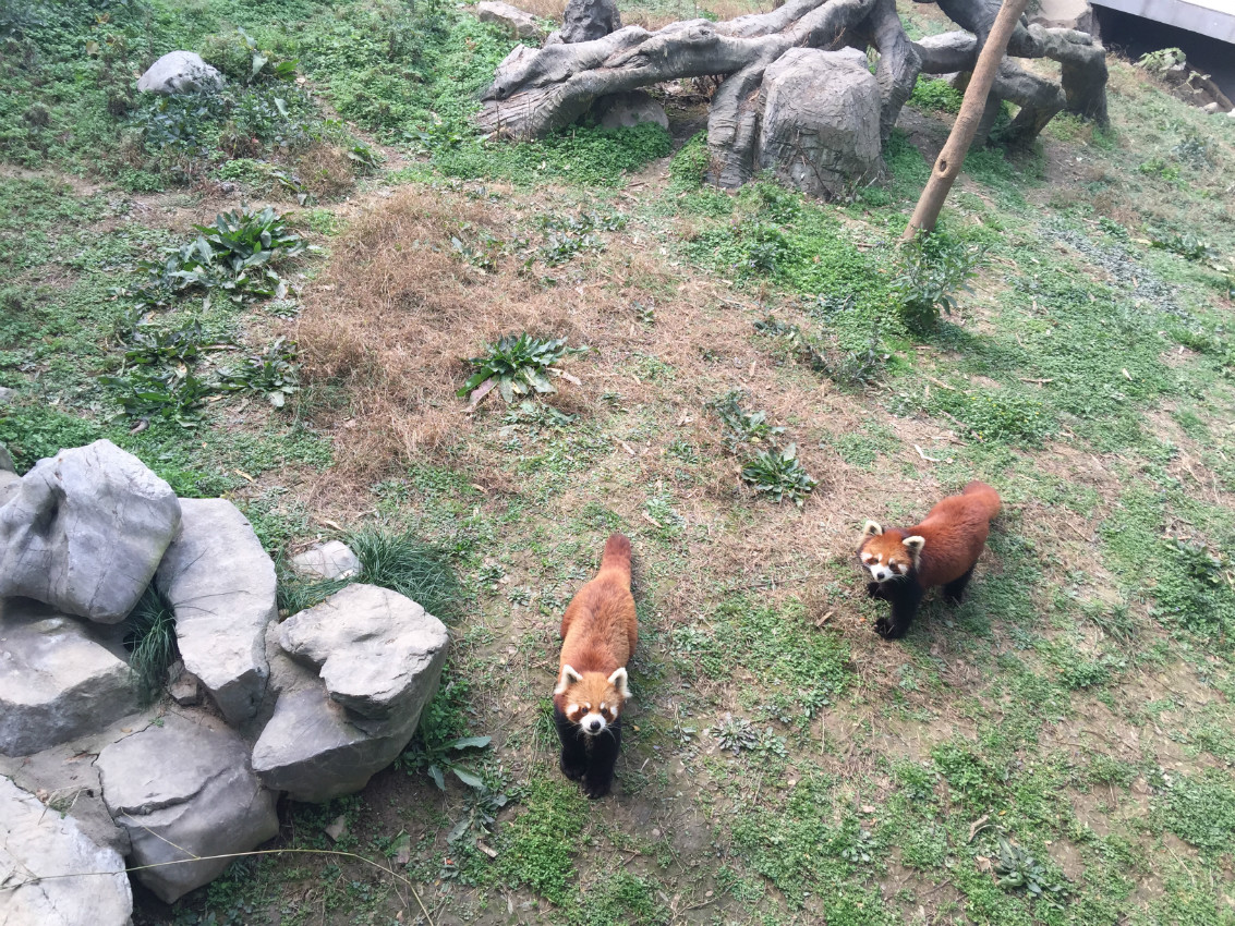 南昌野生動物園