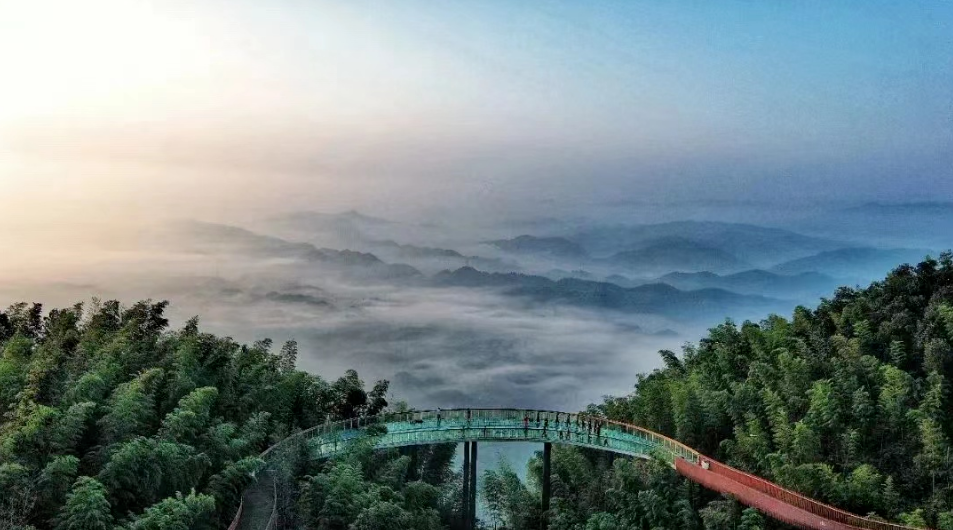 蜀南竹海全景图片