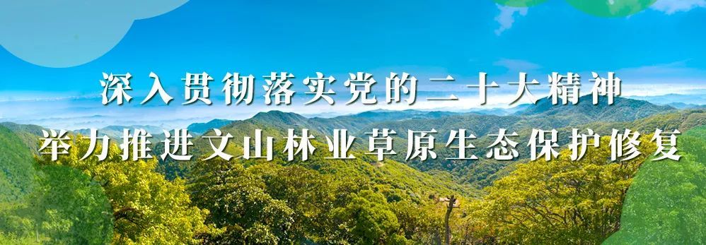 省林草局赴文山開展2022年度森林資源管護站點省級驗收抽查及重點工作