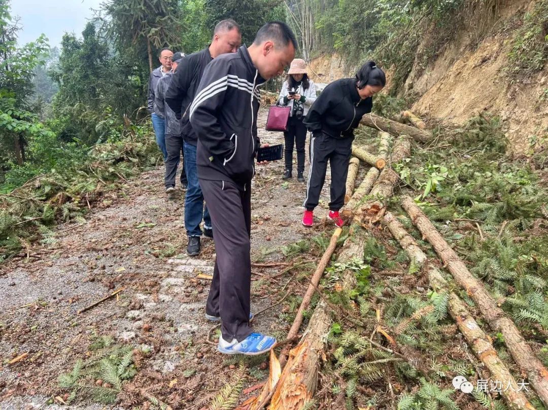 屏边县人大常委会督察组到新华乡督察林长制工作推进情况