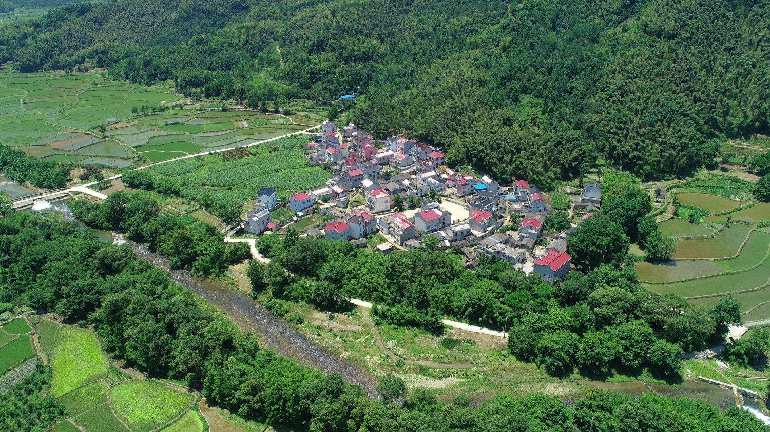 安徽旌德乡镇林业站为林长制提供支撑保障