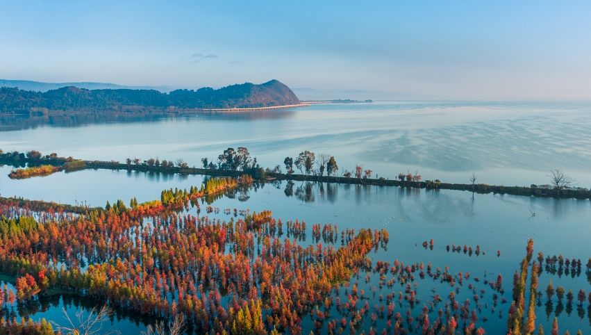 晋宁古滇湿地公园图片