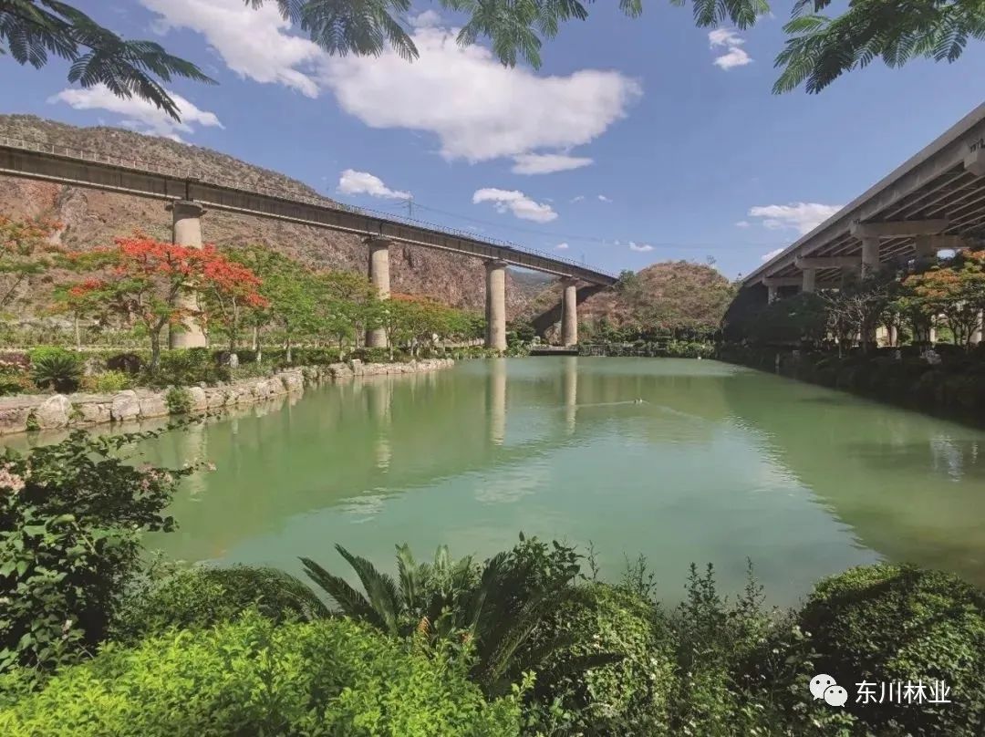 云南东川泥石流博物馆渐变绿色聚宝盆