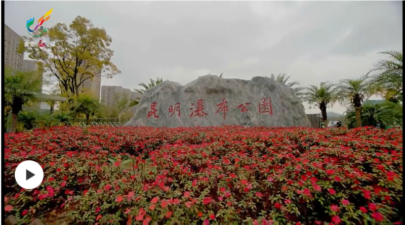 Mbimi 昆明瀑布公园:飞瀑激荡 蔚为壮观 - 关注森林