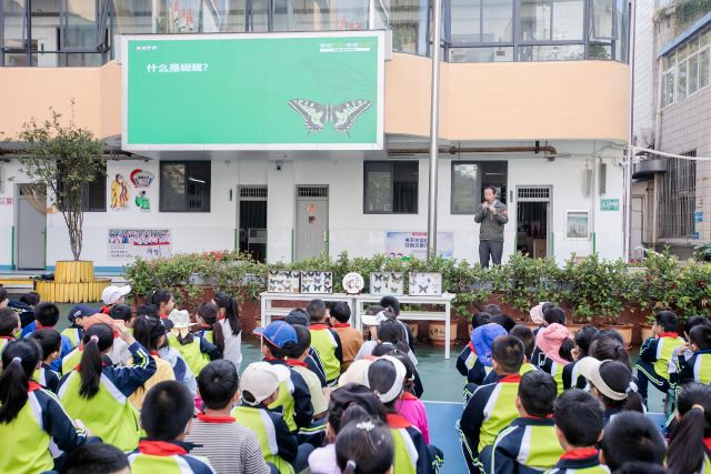 校园动态盘龙区青云小学开展公益科普活动在春城野趣中珍爱自然