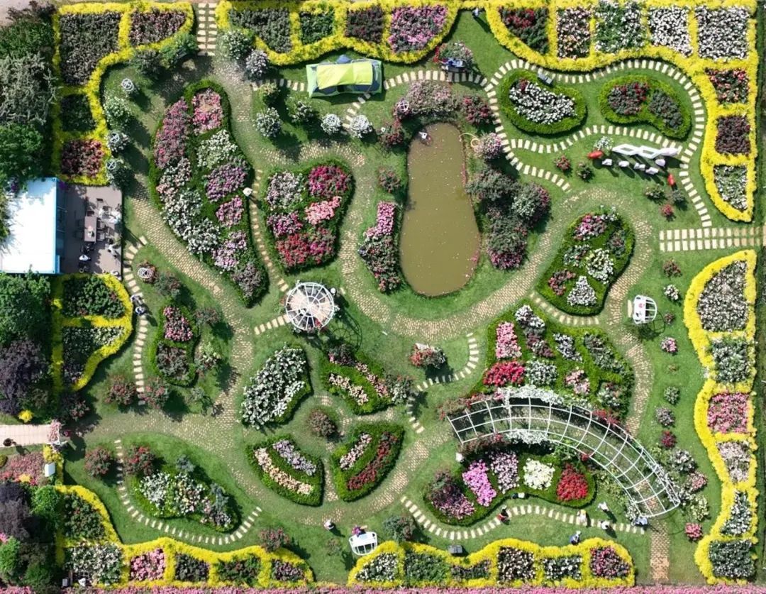 沐浴日光轻盈前行,穿过盛放中的花园,这里的安静与热烈并不冲突,盛放