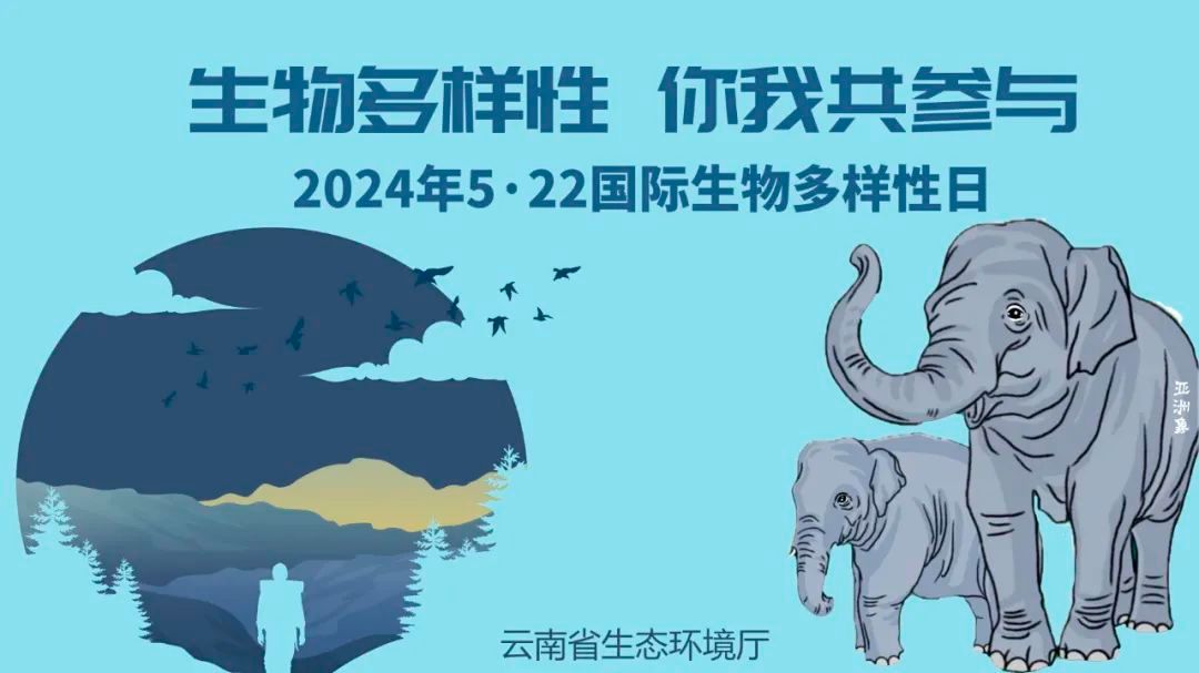 2024年广西壮族自治区生态环境状况公报(图1)