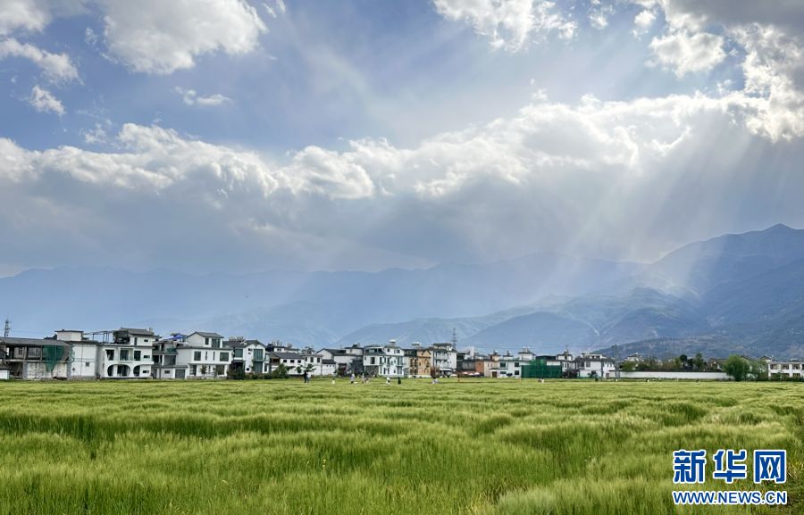 当前位置:关注森林>地方林草动态>云南>正文900_577