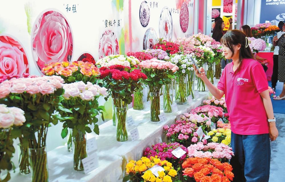 晋宁玫瑰嘉年华启幕