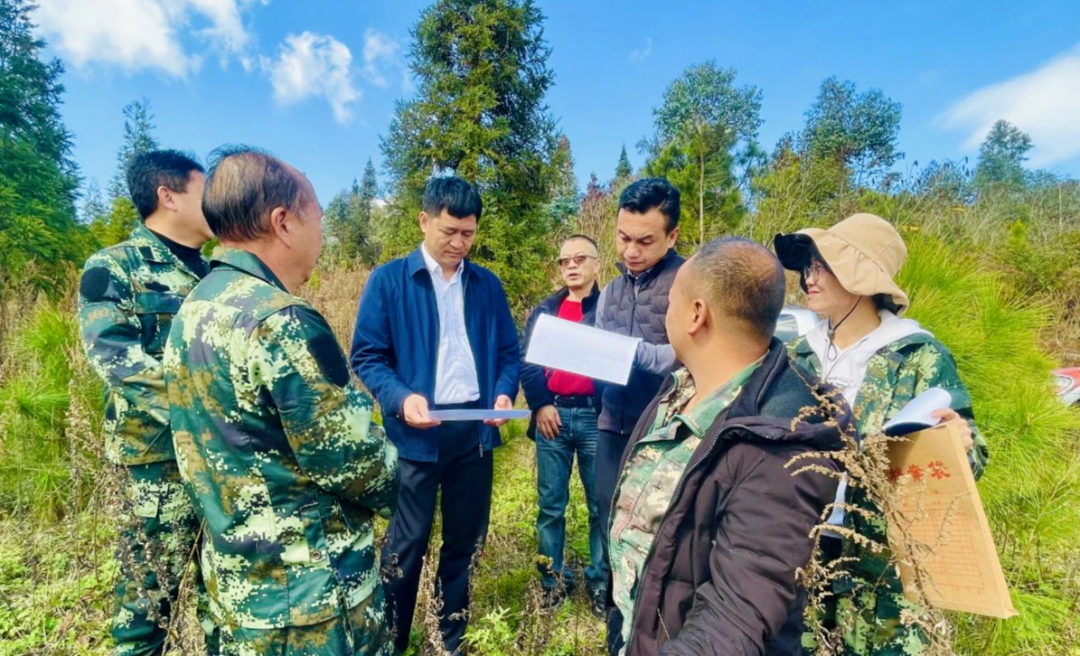 調研石巖寨國有林場項目實施地塊調研組先後深入州石巖寨國有林場普雄