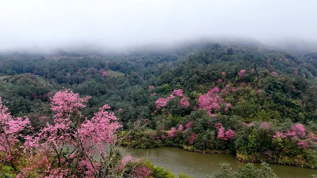 潘家東山水庫位於雲南省紅河哈尼族彝族自治州綠春縣大興鎮旁,1月的冬