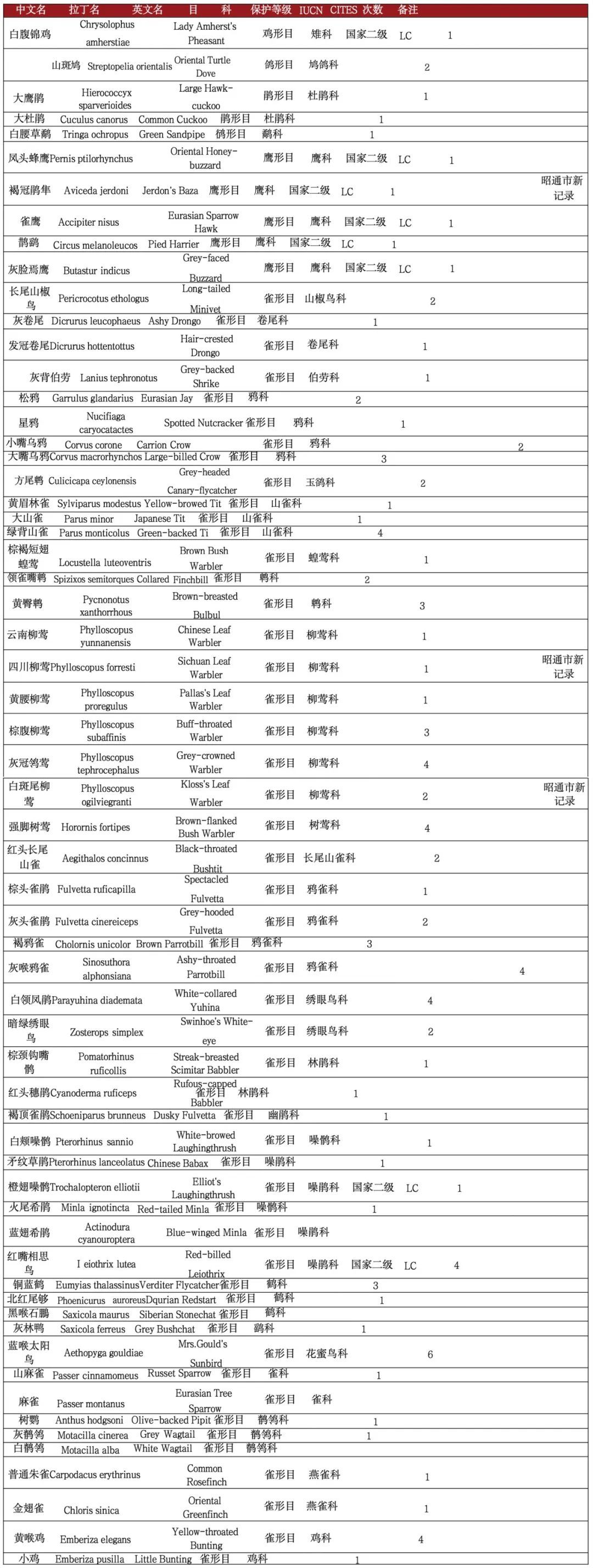 【报告分享】 