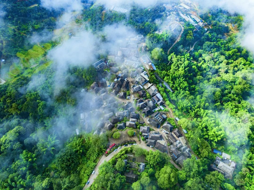 上榜这份国家级名单景迈山这样将绿水青山与金山银山互促共进