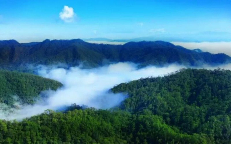 刘悦宁.jpg