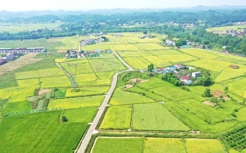 安居区:"四长制"擦亮湖光山色安逸安居最靓底色