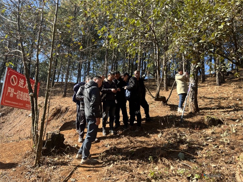 重點對松毛蟲,小蠹蟲,松墨天牛,中華松針蚧,華山松