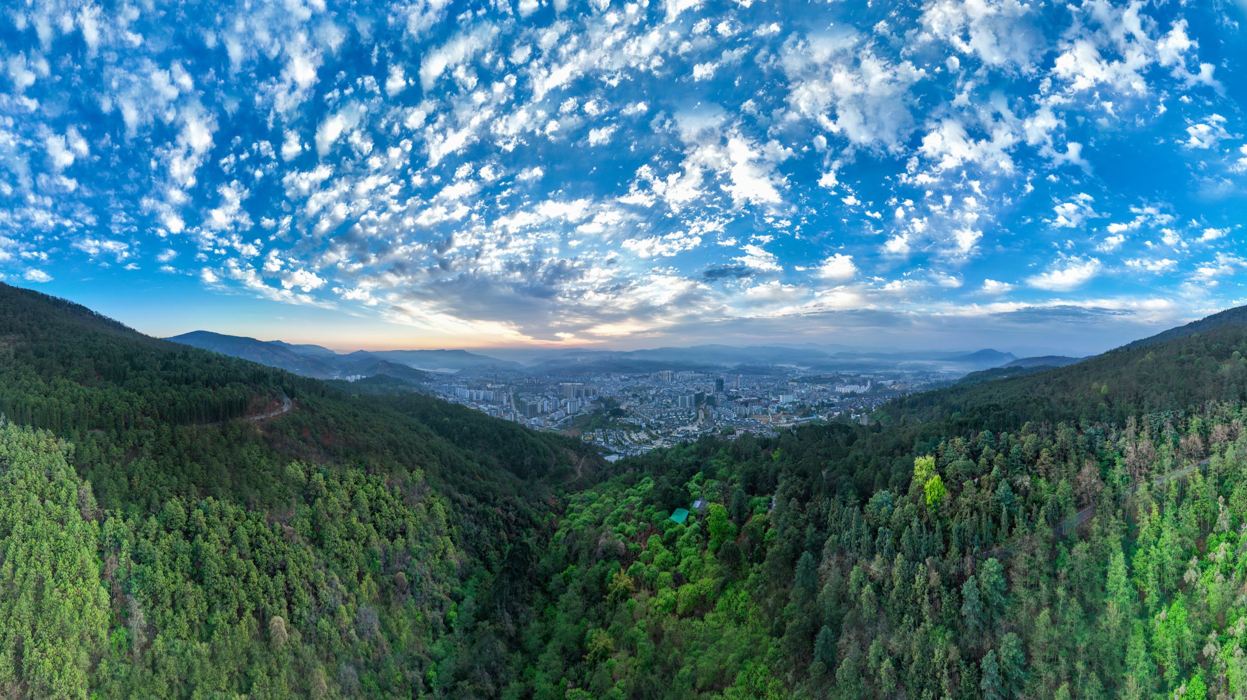 云南武定品一杯春茶不负人间四月天