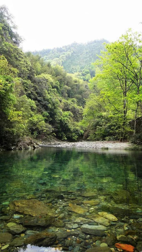 湖南北罗霄国家森林公园