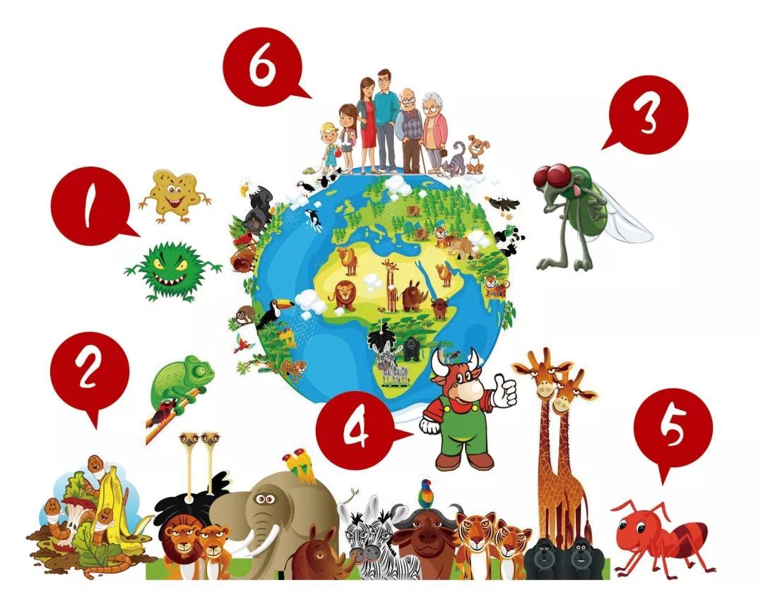 其实,虽然人类是地球上进化最完美,最具智慧的生物,但数量上却完全不