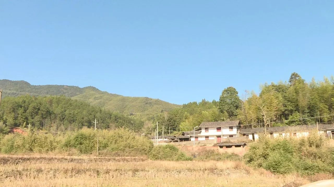 明溪县夏阳乡旦上村 村民 汤清德 观鸟是村里面组织的,村里面有投股