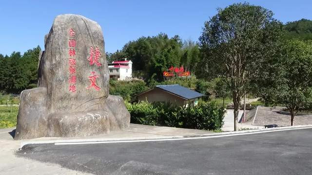 福建林業改革發展20年突出貢獻集體武平縣萬安鎮捷文村