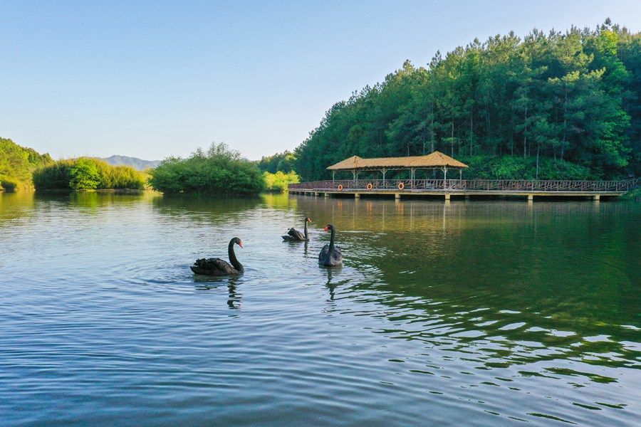 长汀汀江国家湿地公园黄海摄