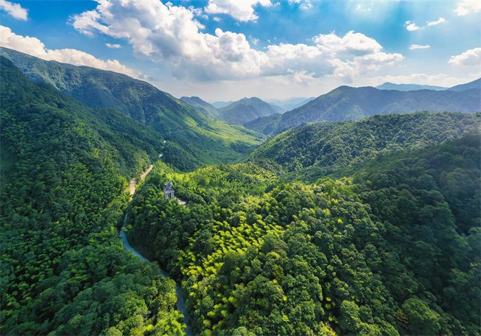 全面实施科学经营措施,着力改善林分结构,增强森林功能,厚植生态底色